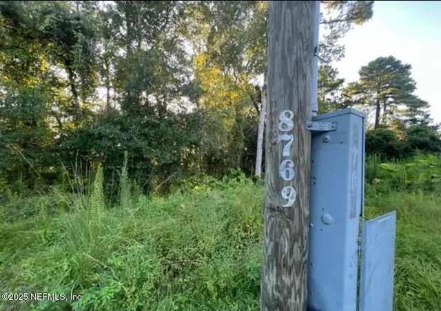 a view of a yard front of house