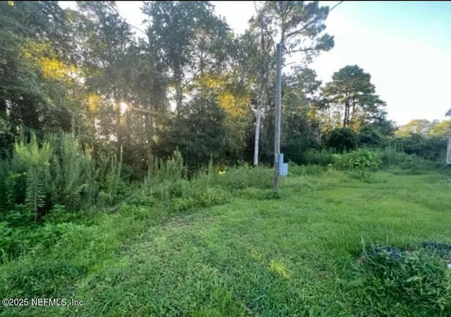 a view of outdoor space and green space