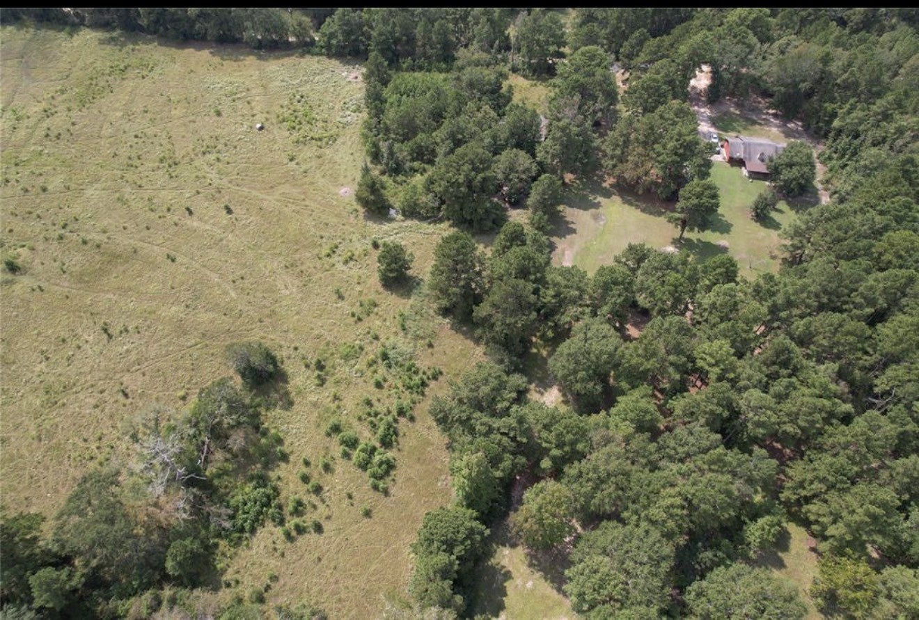 4.3 Lacy 3 Road Groveton, TX 75845 - Photo 10 of 14