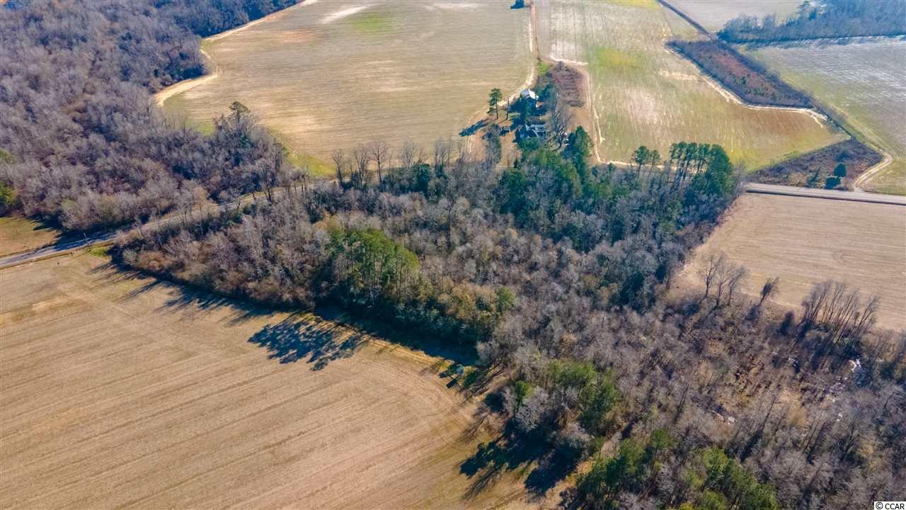 3200 Duford Road Nichols, SC 29581 - Photo 11 of 40 Gallery Image 11