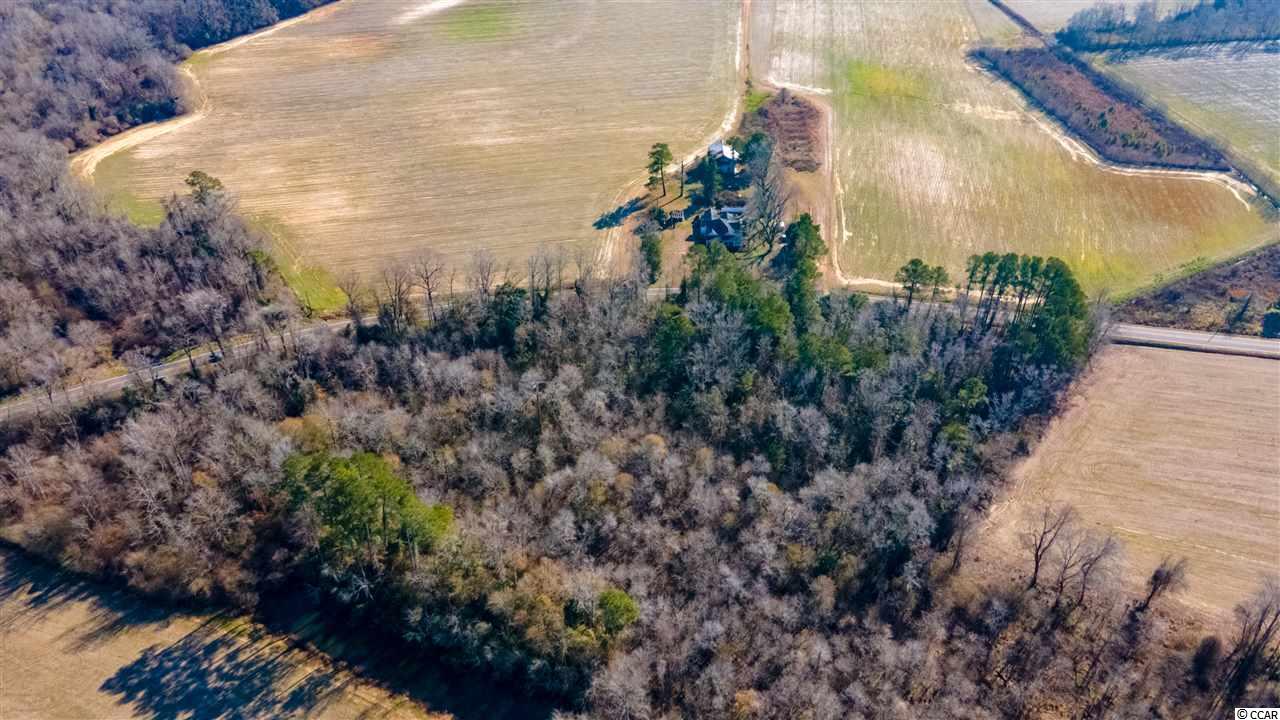3200 Duford Road Nichols, SC 29581 - Photo 12 of 40 Gallery Image 12