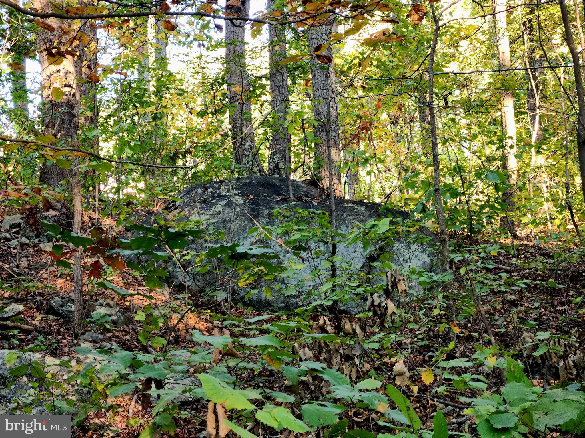 4 Ernest Robinson Road Marshall, VA 20115 - Photo 11 of 25 a view of a yard