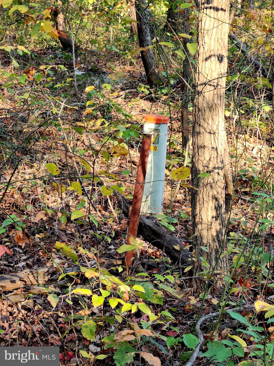 4 Ernest Robinson Road Marshall, VA 20115 - Photo 12 of 25 a picture of flowers