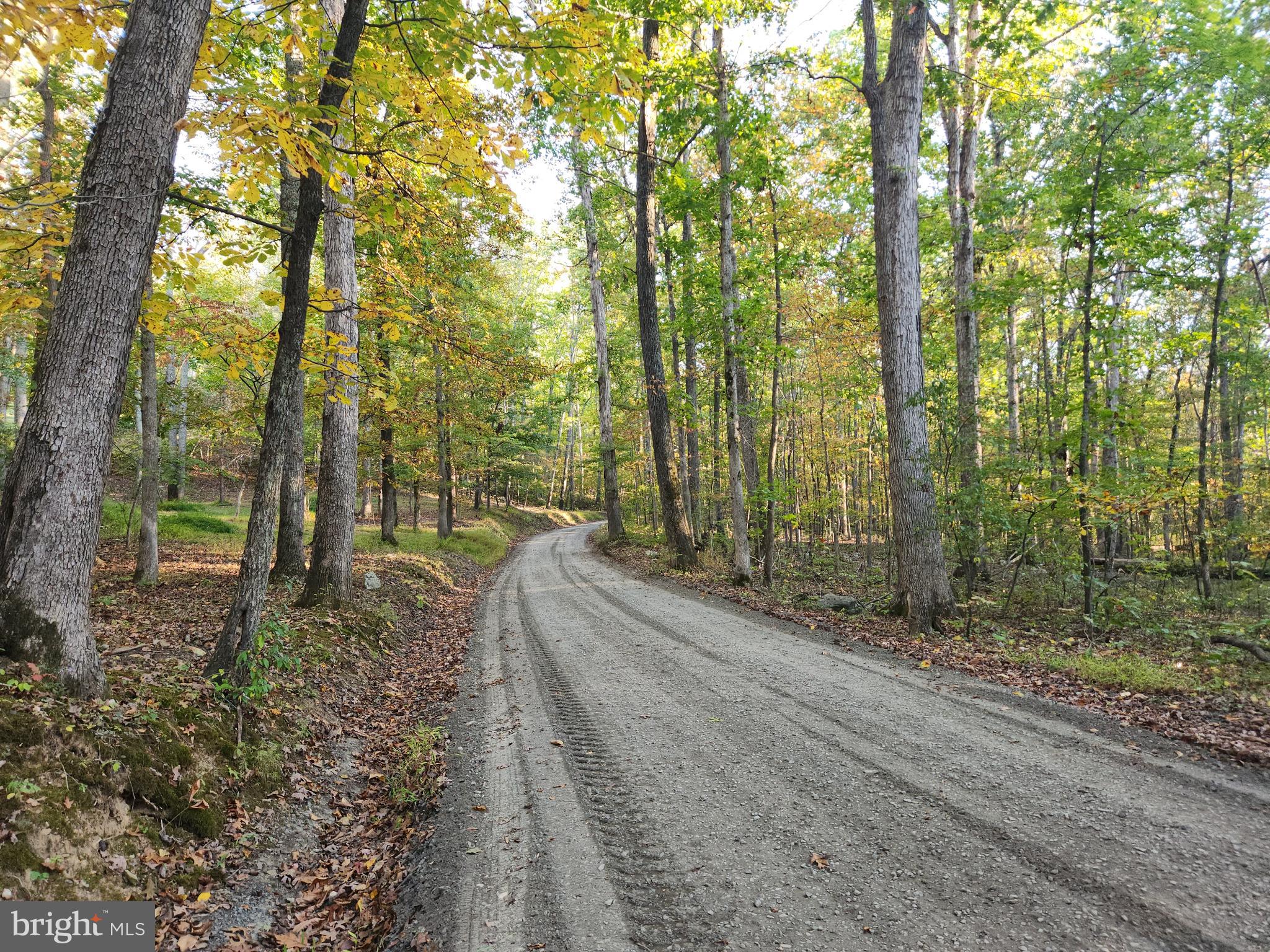4 Ernest Robinson Road Marshall, VA 20115 - Photo 13 of 25 a backyard of a house with lots of green space