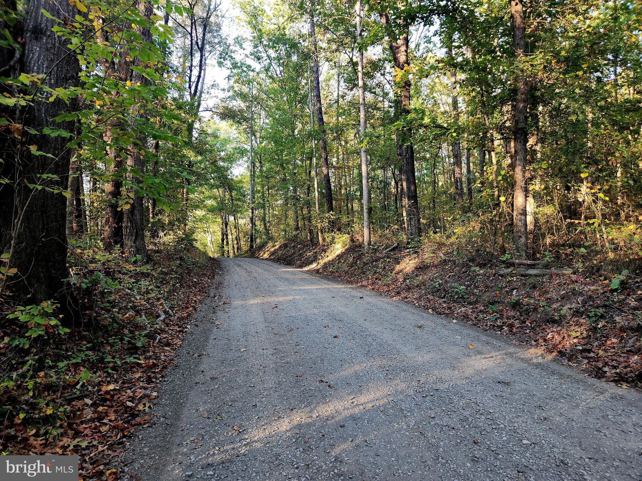 4 Ernest Robinson Road Marshall, VA 20115 - Photo 4 of 25 a view of a forest with trees