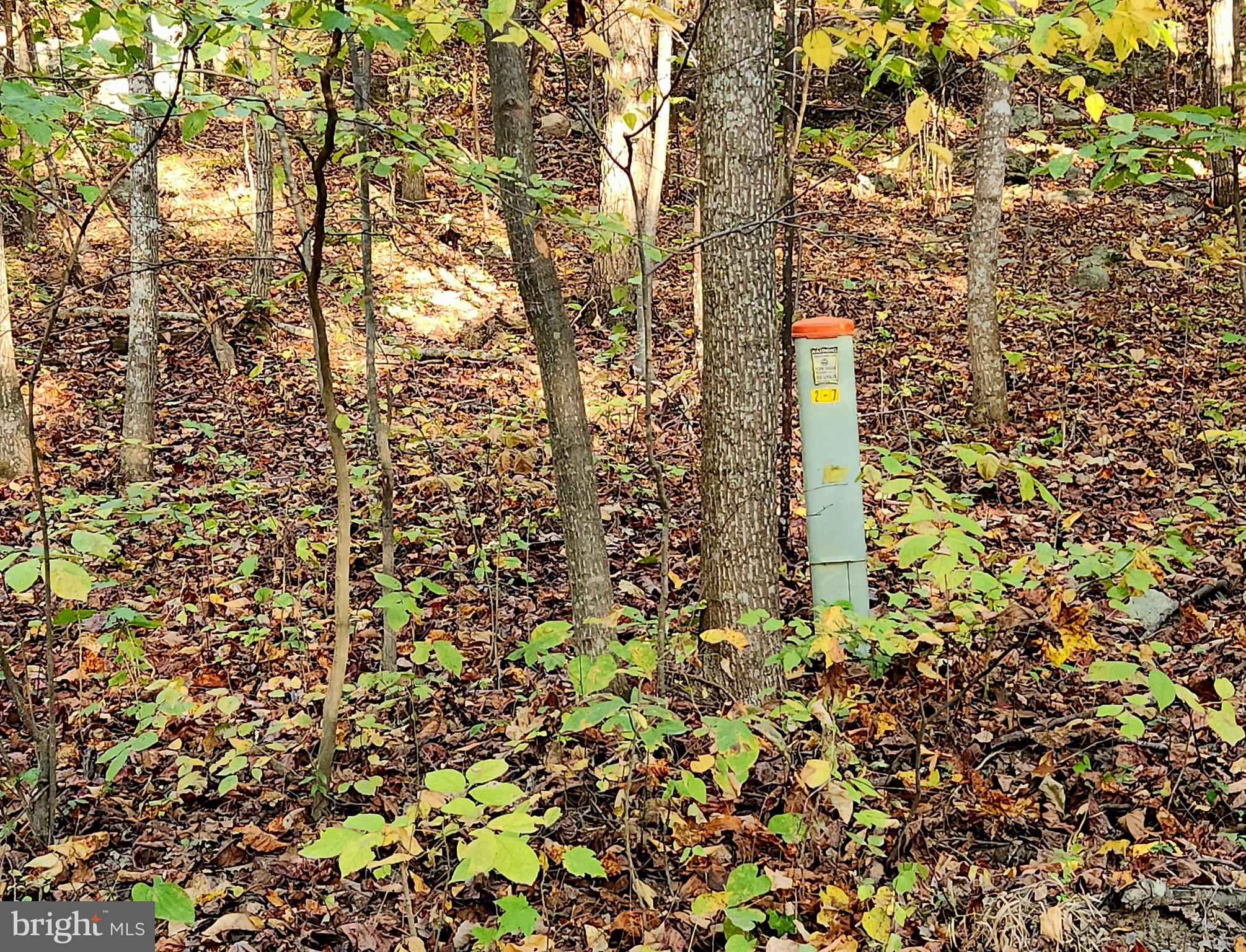 4 Ernest Robinson Road Marshall, VA 20115 - Photo 6 of 25