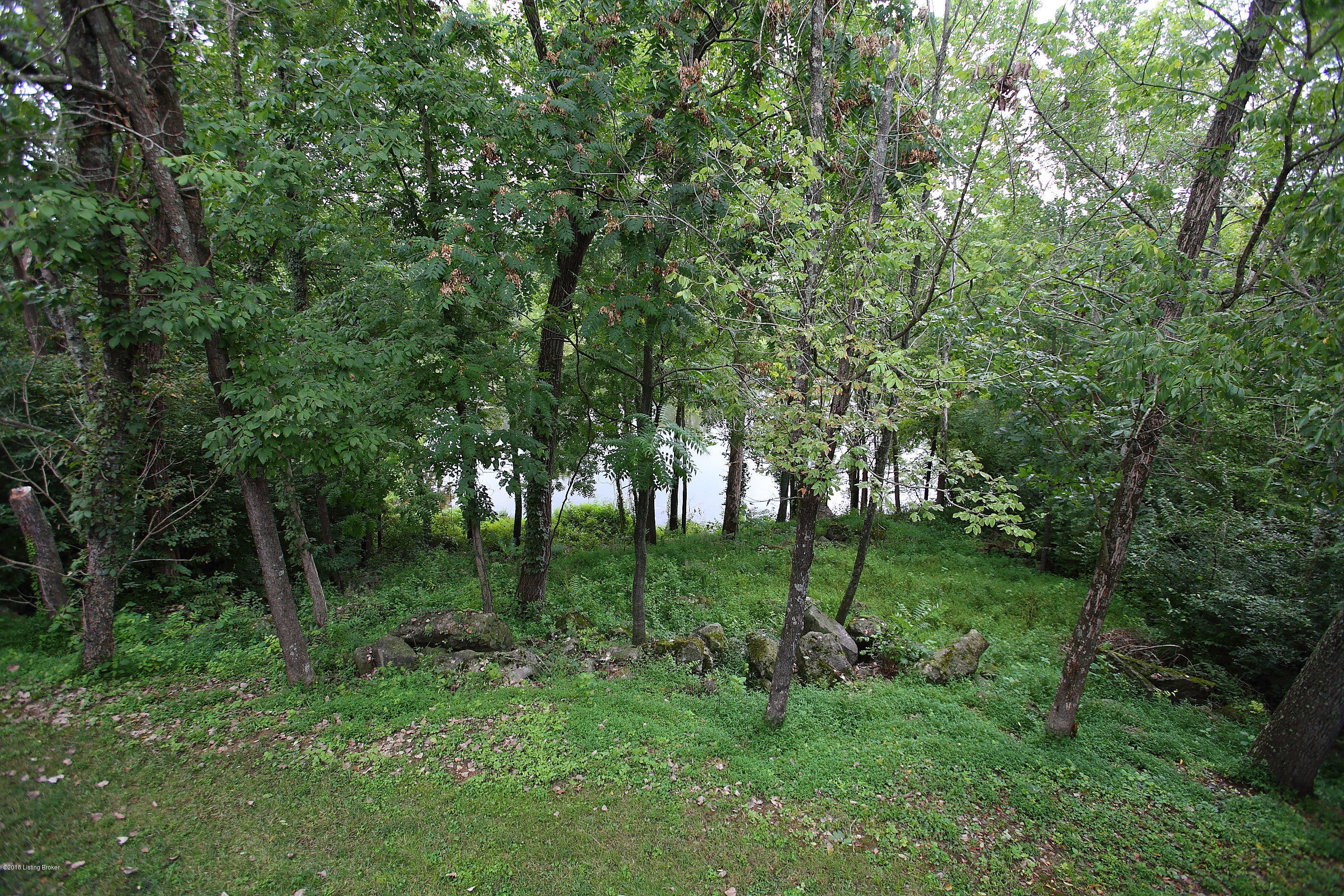 11802 Lakestone Way Prospect, KY 40059 - Photo 59 of 74 Priceless views.
