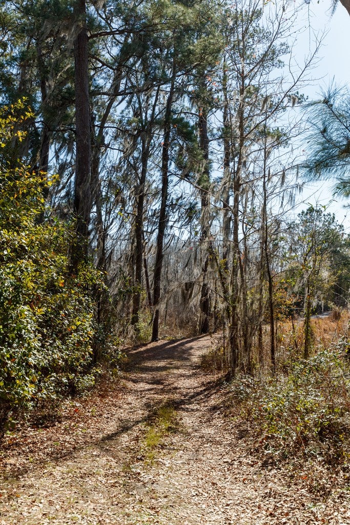 3415 Loch Laurel Road Lake Park, GA 31636 - Photo 43 of 43 Gallery Image 43