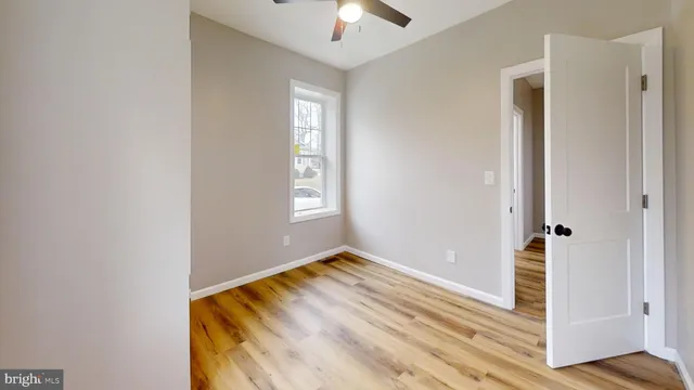 a view of a yard with plants and trees