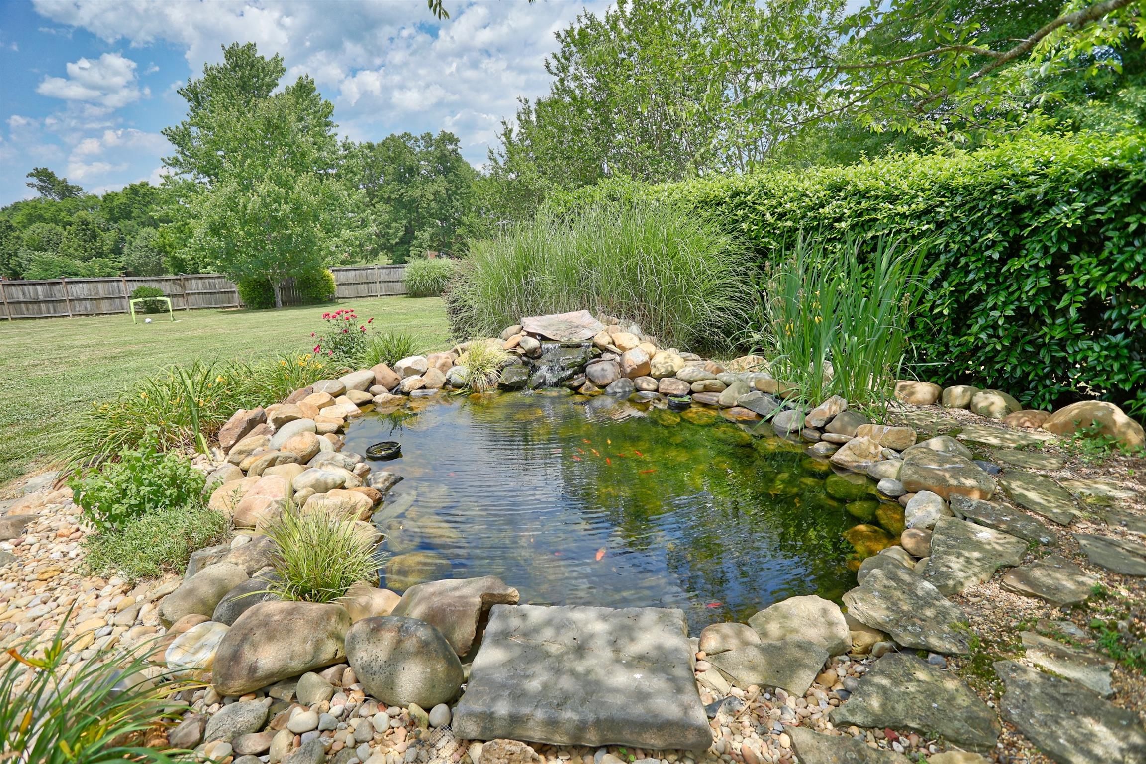 7288 Old Franklin Road Fairview, TN 37062 - Photo 25 of 30 Check out the thriving koi and tadpoles. Kids will love it!