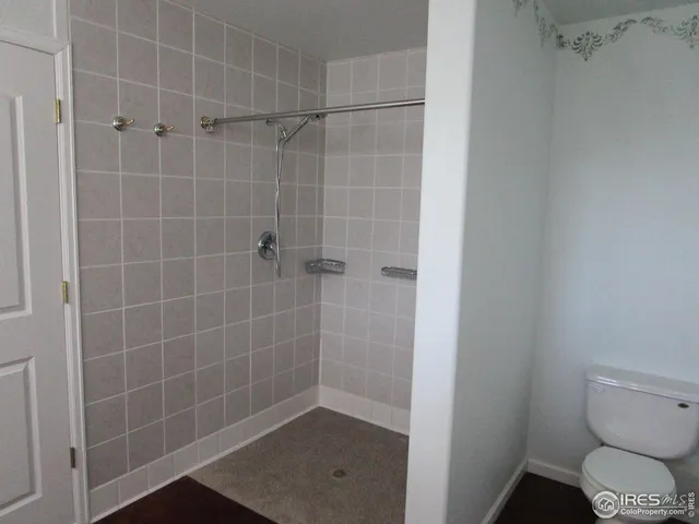 a bathroom with a shower and toilet