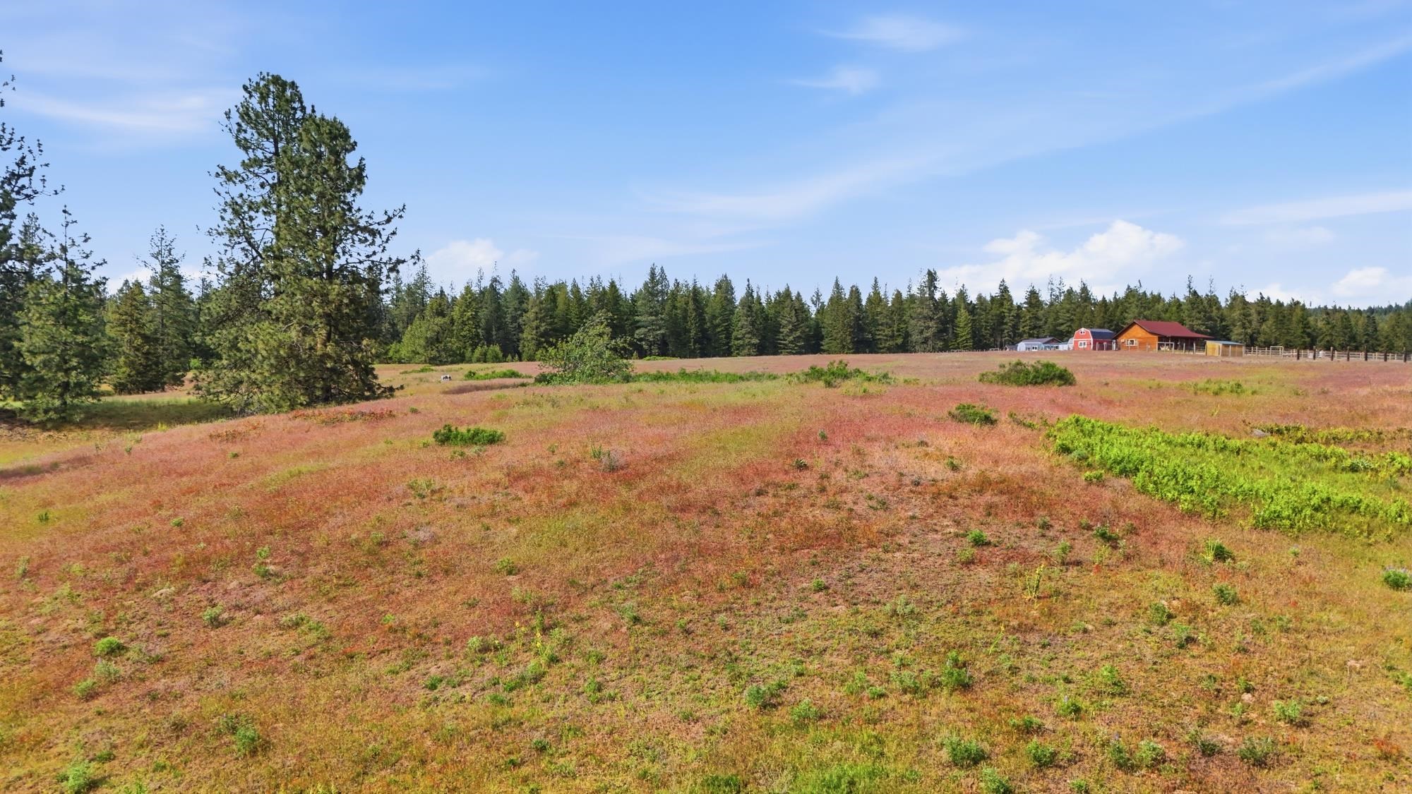 682 Henry Road Elk, WA 99009 - Photo 14 of 21