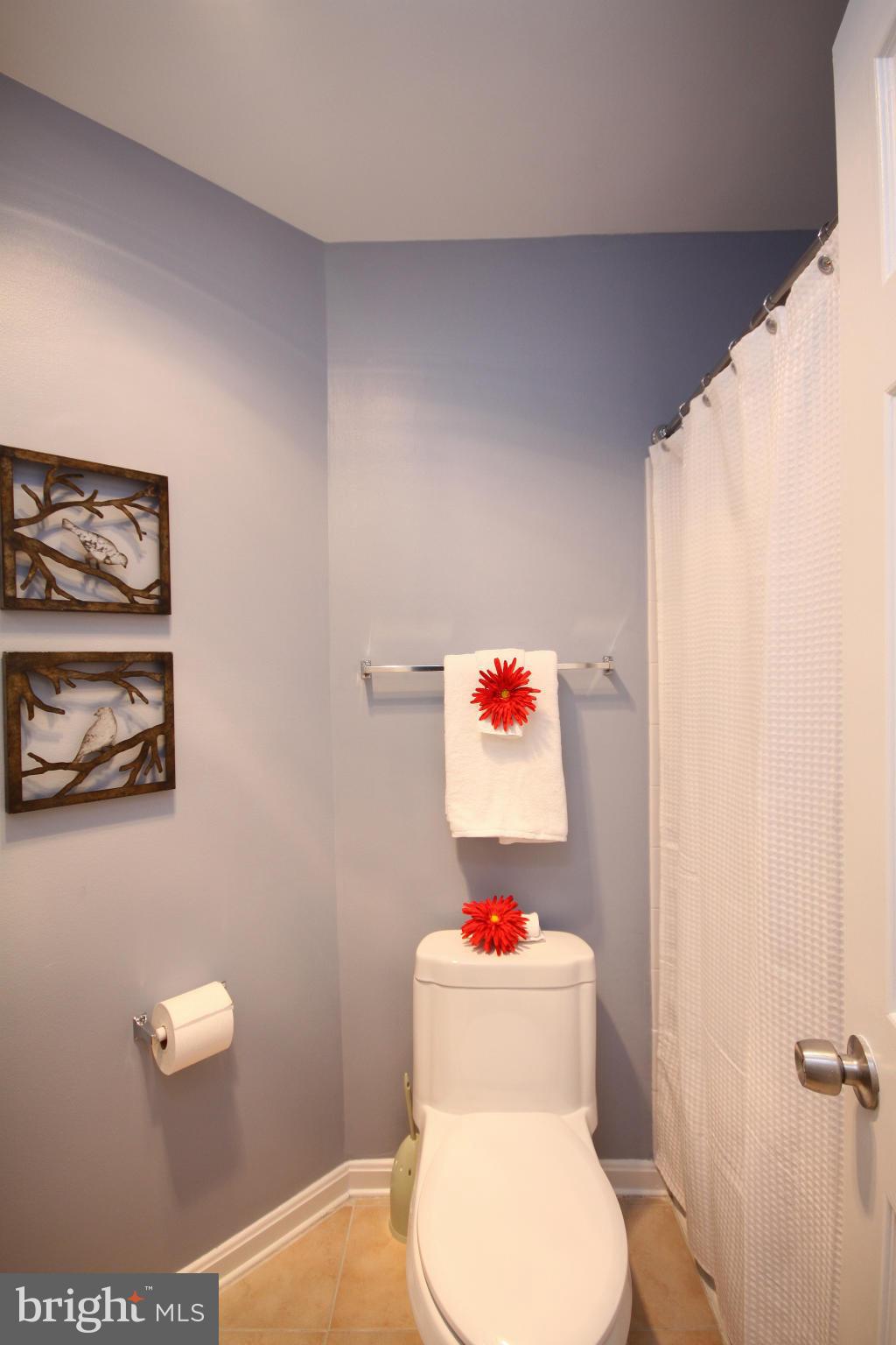 4 Fallen Tree Court, Unit 4A Baltimore, MD 21227 - Photo 13 of 18 Bath (Master)