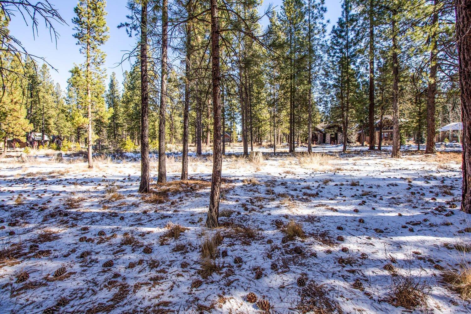 56154 Sable Rock Loop Bend, OR 97707 - Photo 7 of 12 Additional Photo