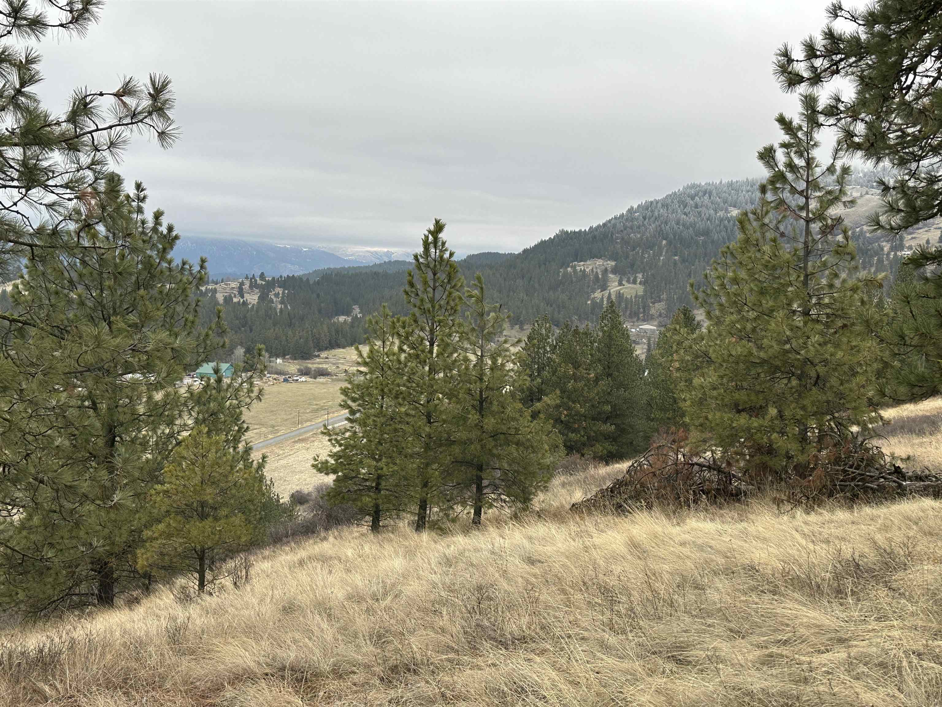 3250 Daisy Mine Road Rice, WA 99167 - Photo 8 of 14 Gallery Image 8