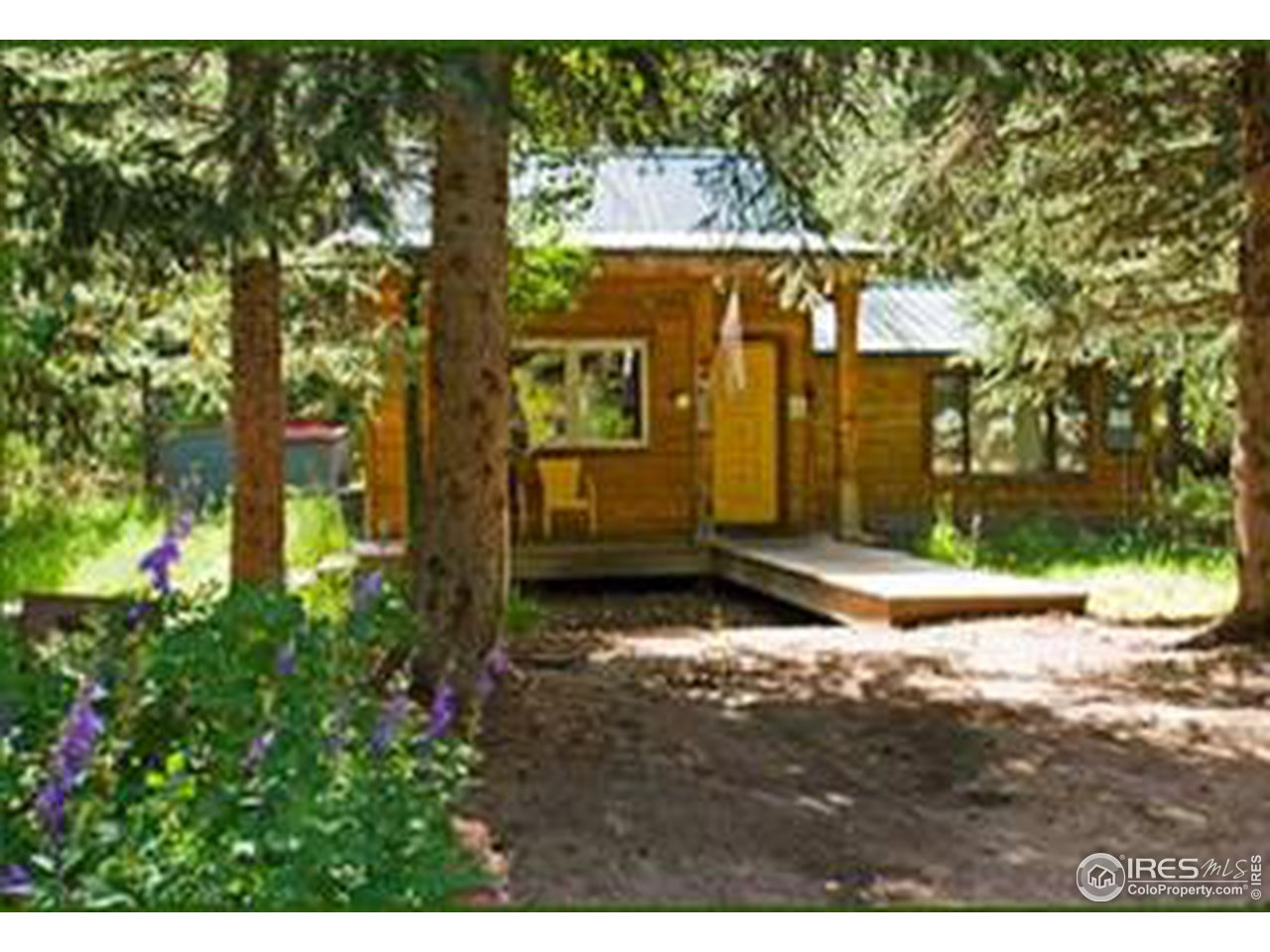2817 Riverside Drive Lyons, CO 80540 - Photo 27 of 27 Front of cabin
