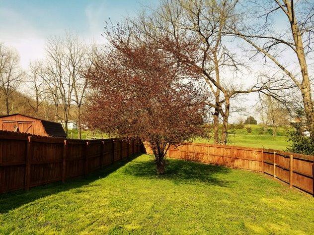 139 Fulton Road Harrogate, TN 37752 - Photo 38 of 38 17. Downstairs backyard2