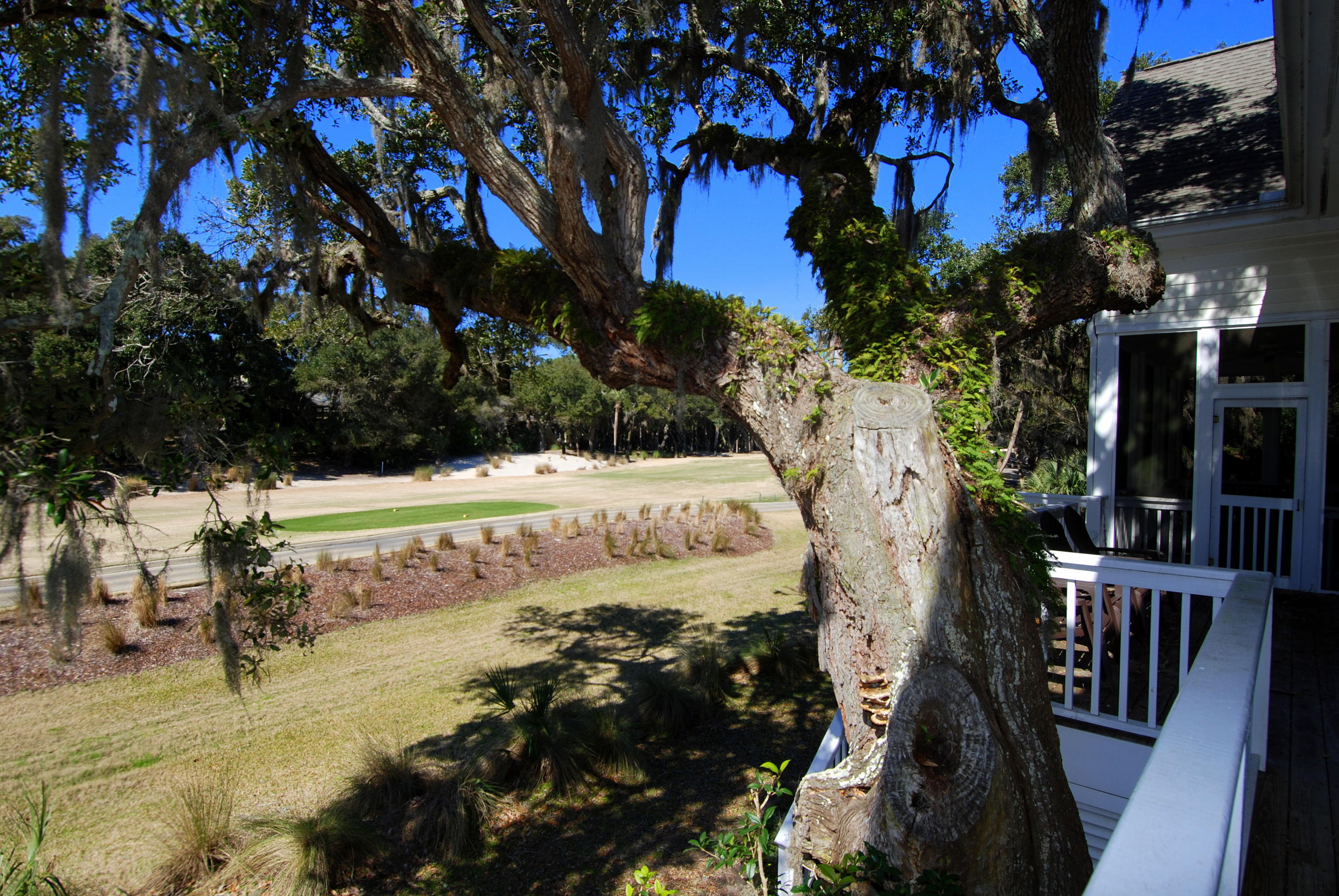 2674 High Hammock Road Seabrook Island, SC 29455 - Photo 18 of 35 DSC_0103