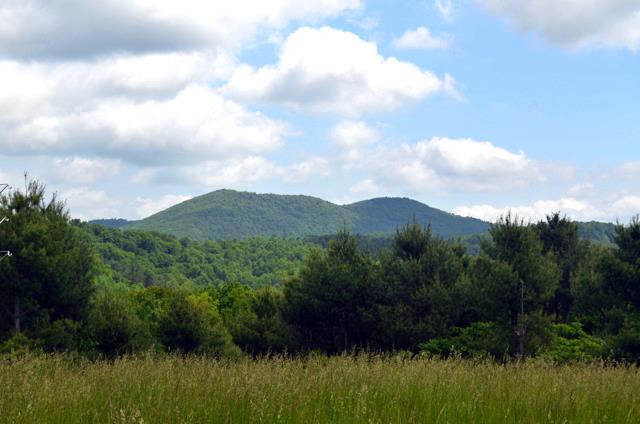 Tbd Shelor Road Southwest Meadows Of Dan, VA 24120 - Photo 1 of 1 Gallery Image 1