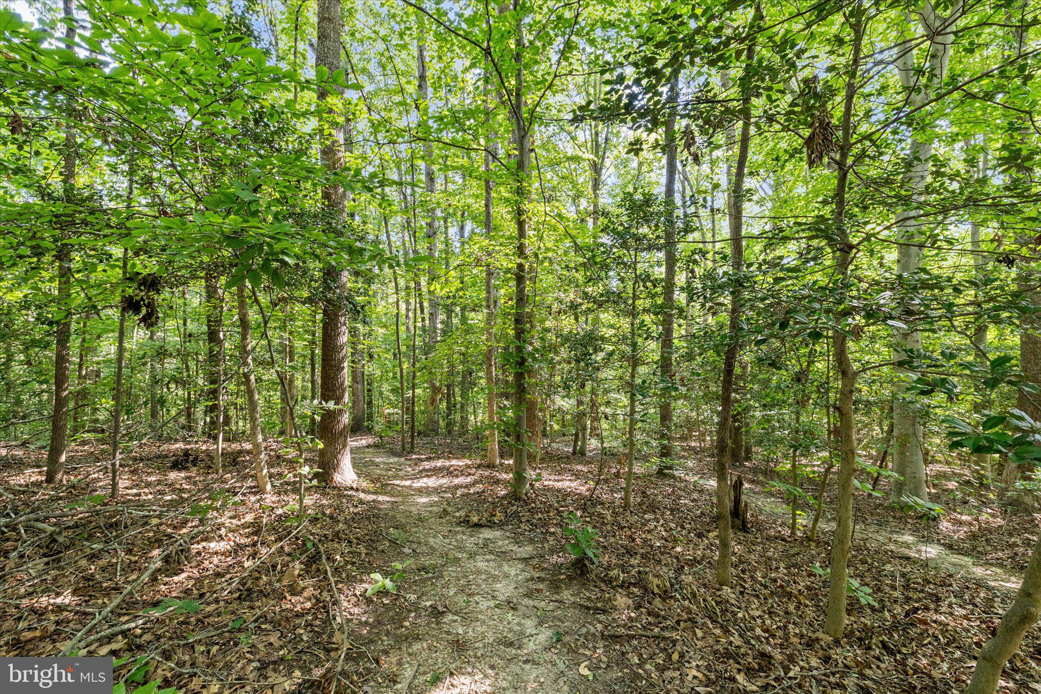 6001 Fox Point Road Fredericksburg, VA 22407 - Photo 55 of 69 Gallery Image 55