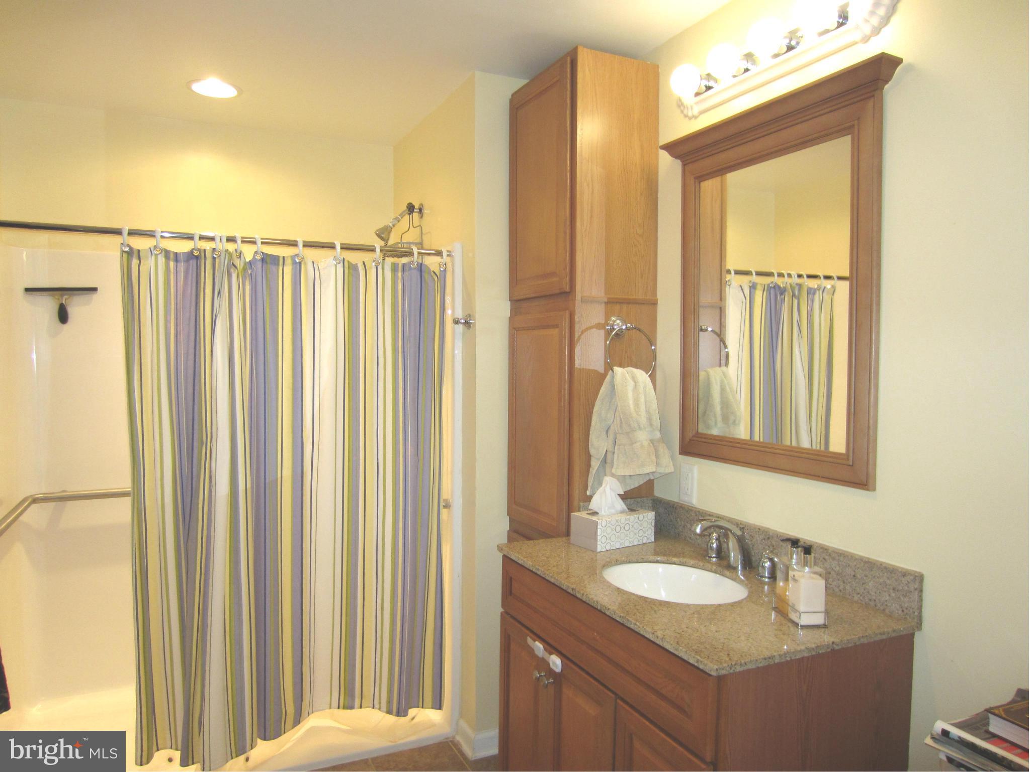 320 Bachmans Valley Road Westminster, MD 21158 - Photo 12 of 30 Bath (Master)
