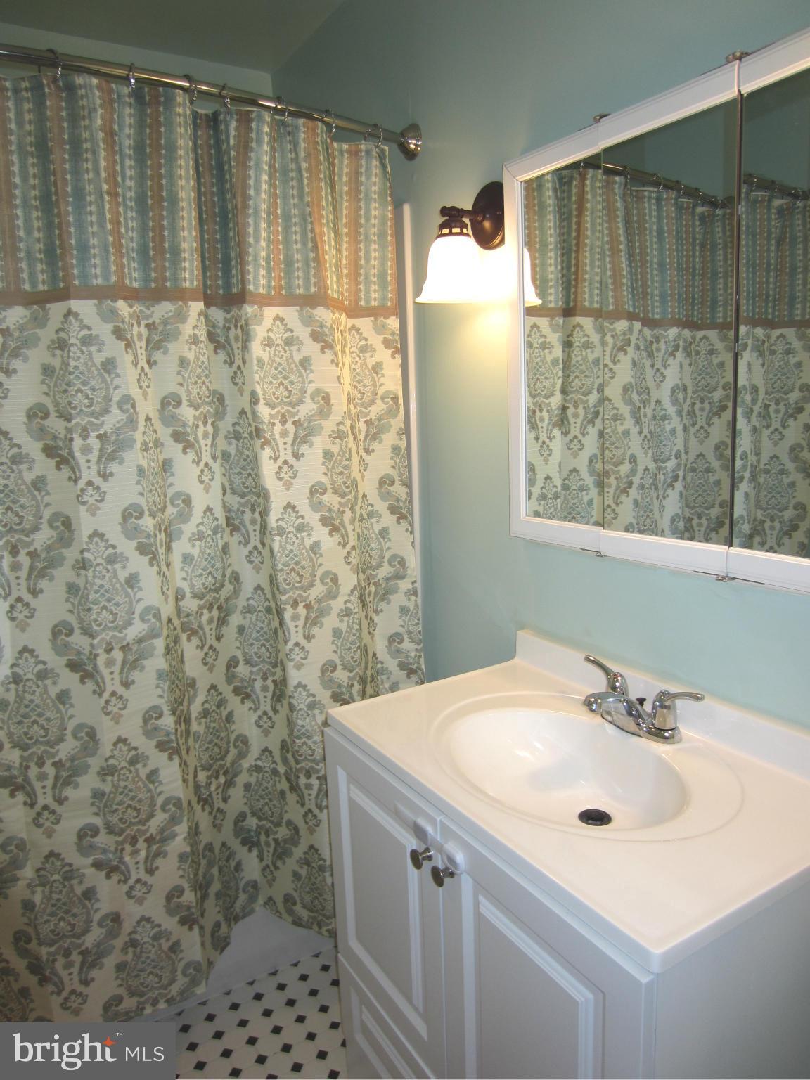 320 Bachmans Valley Road Westminster, MD 21158 - Photo 10 of 30 Bath (Master)