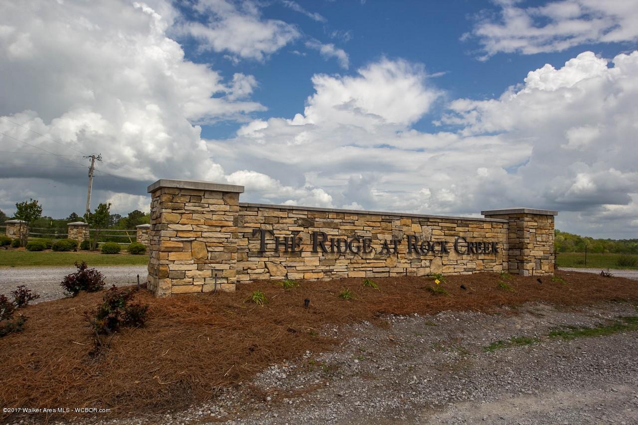Lot 9 Ridge Point Drive Arley, AL 35540 - Photo 2 of 6 Gallery Image 2