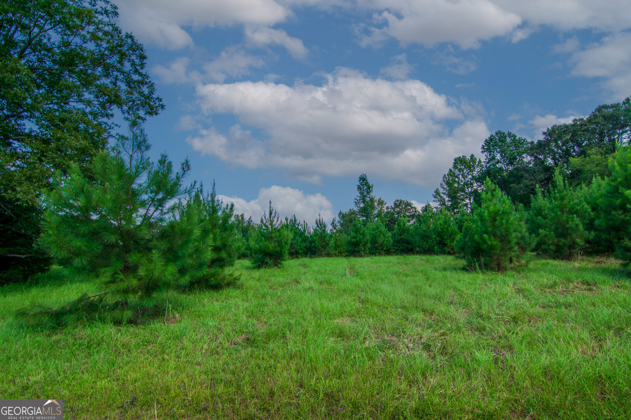616 Twin Lakes Road Waverly Hall, GA 31831 - Photo 45 of 98 Gallery Image 45
