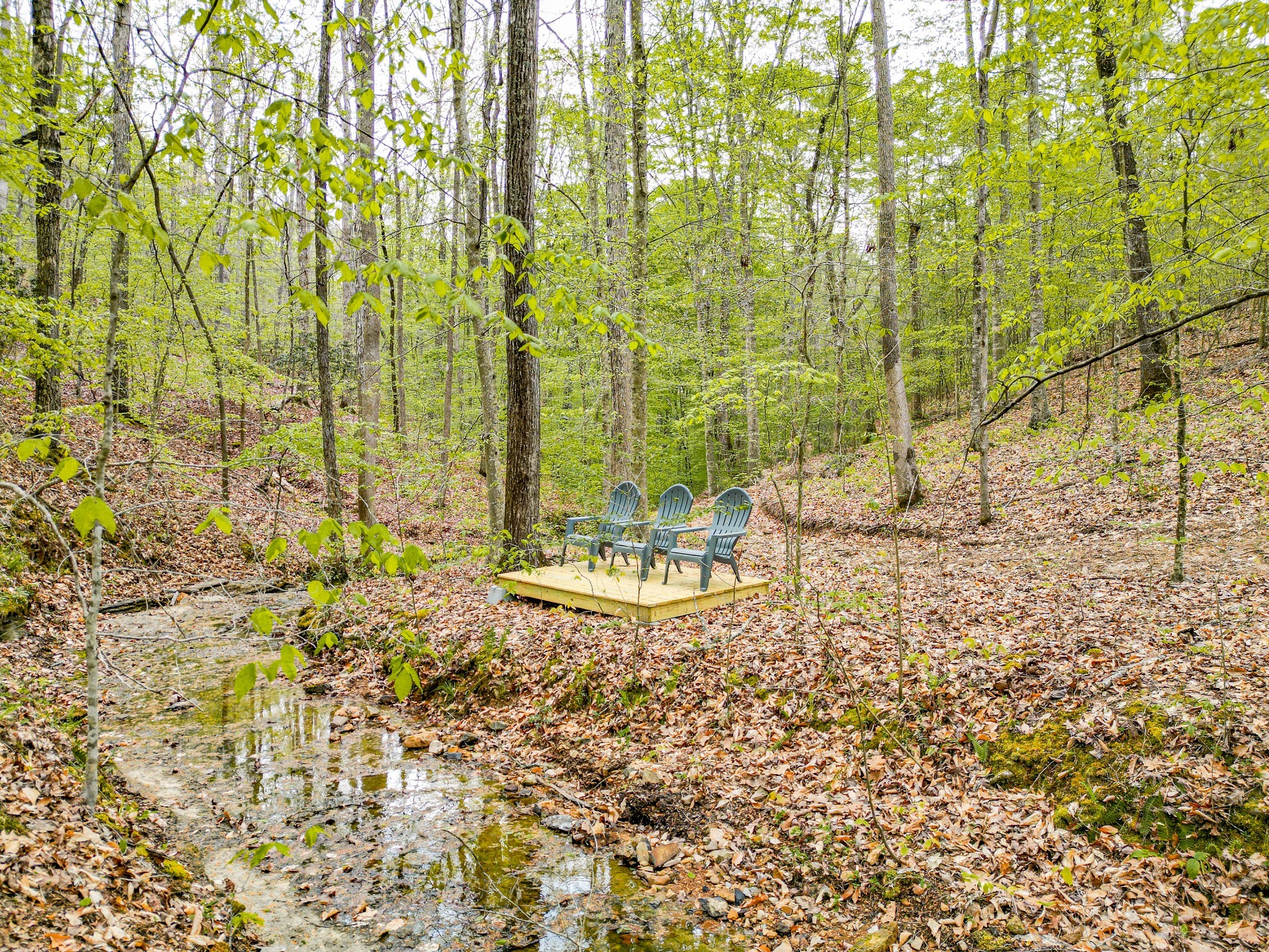 920 Mason Bates Bend Road Centerville, TN 37033 - Photo 44 of 82 Gallery Image 44