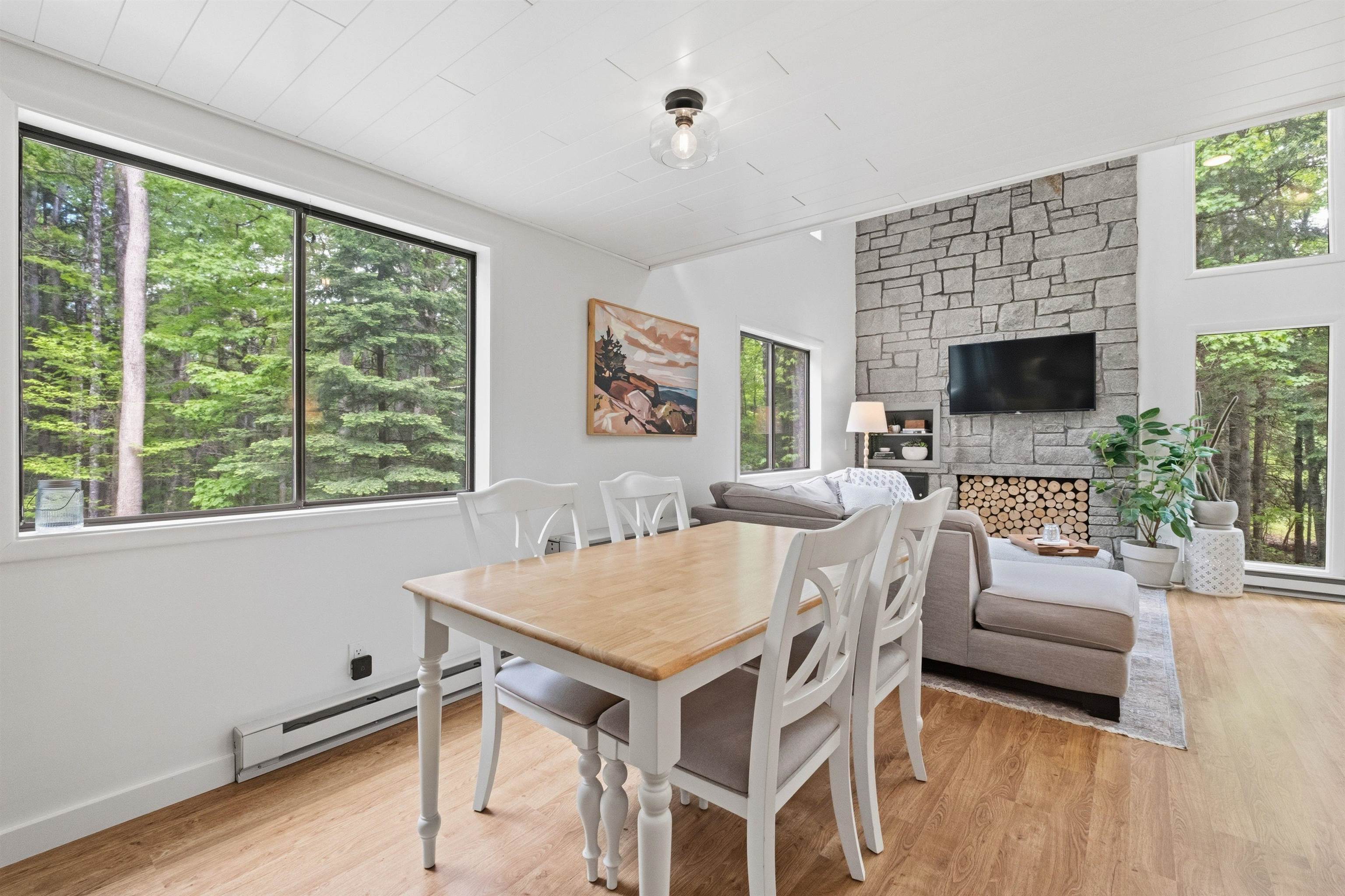8 Whitetail Ridge Springfield, NH 03753 - Photo 10 of 39