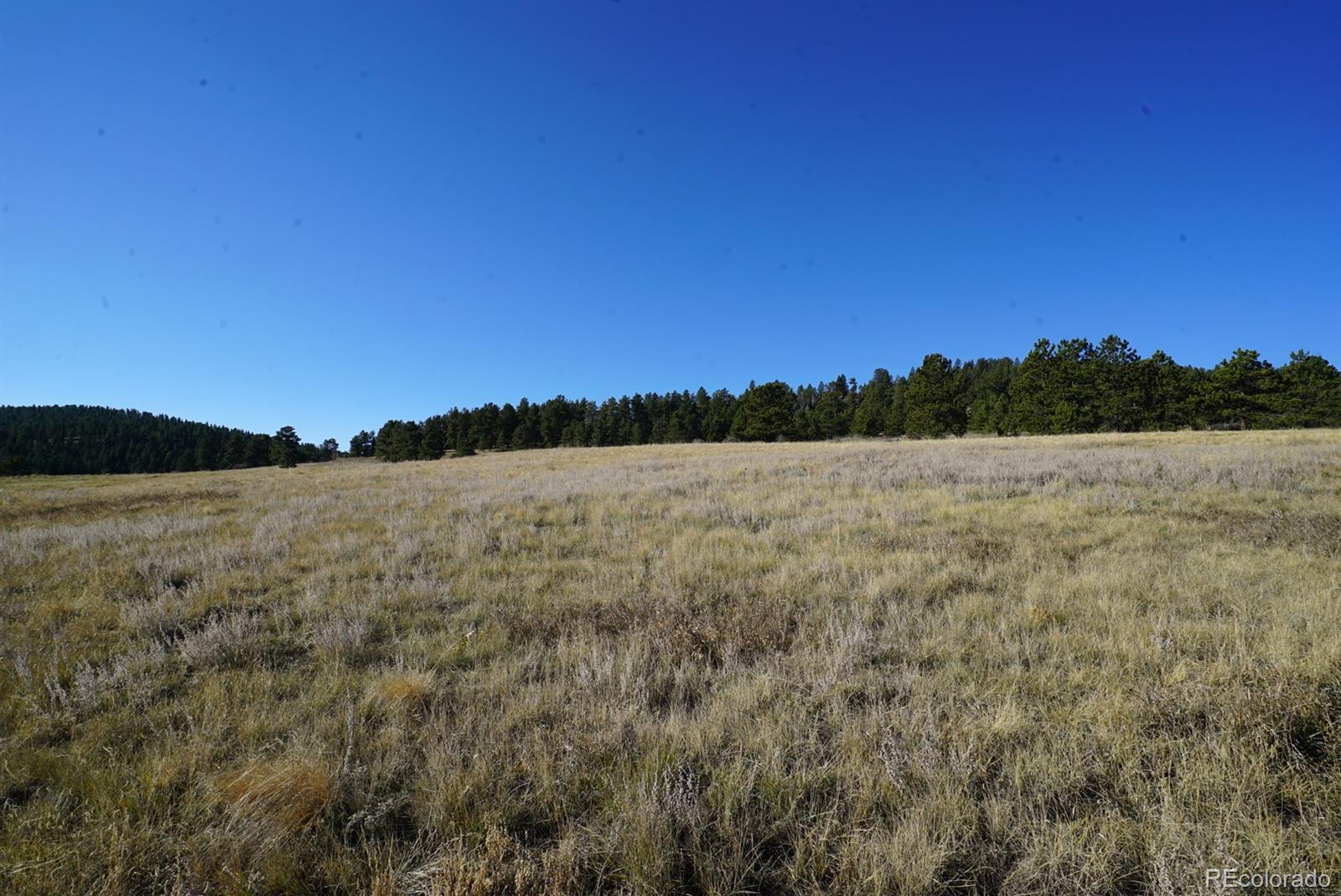 144 Bulldogger Road Bailey, CO 80421 - Photo 1 of 4
