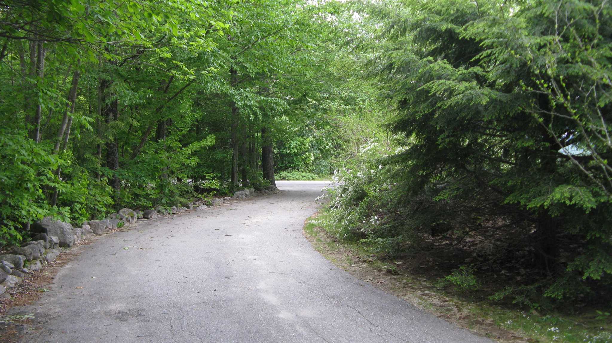 233 Alton Mountain Road Alton, NH 03810 - Photo 10 of 28