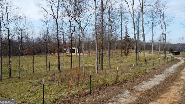a view of a garden with a trampoline