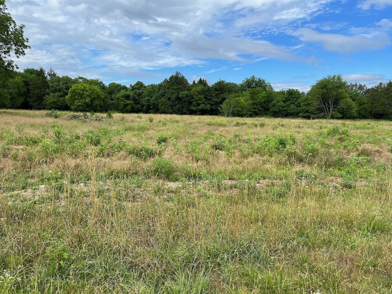 4440 McCrary Road Lebanon, TN 37090 - Photo 1 of 2 a view of a field with a tree in the background