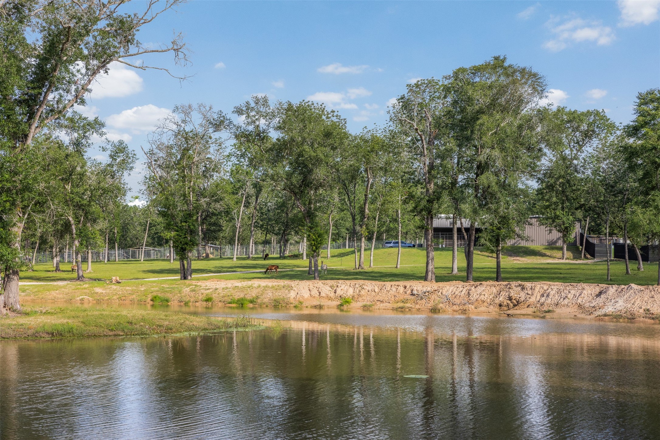7521 Schoenau Road Brenham, TX 77833 - Photo 37 of 49