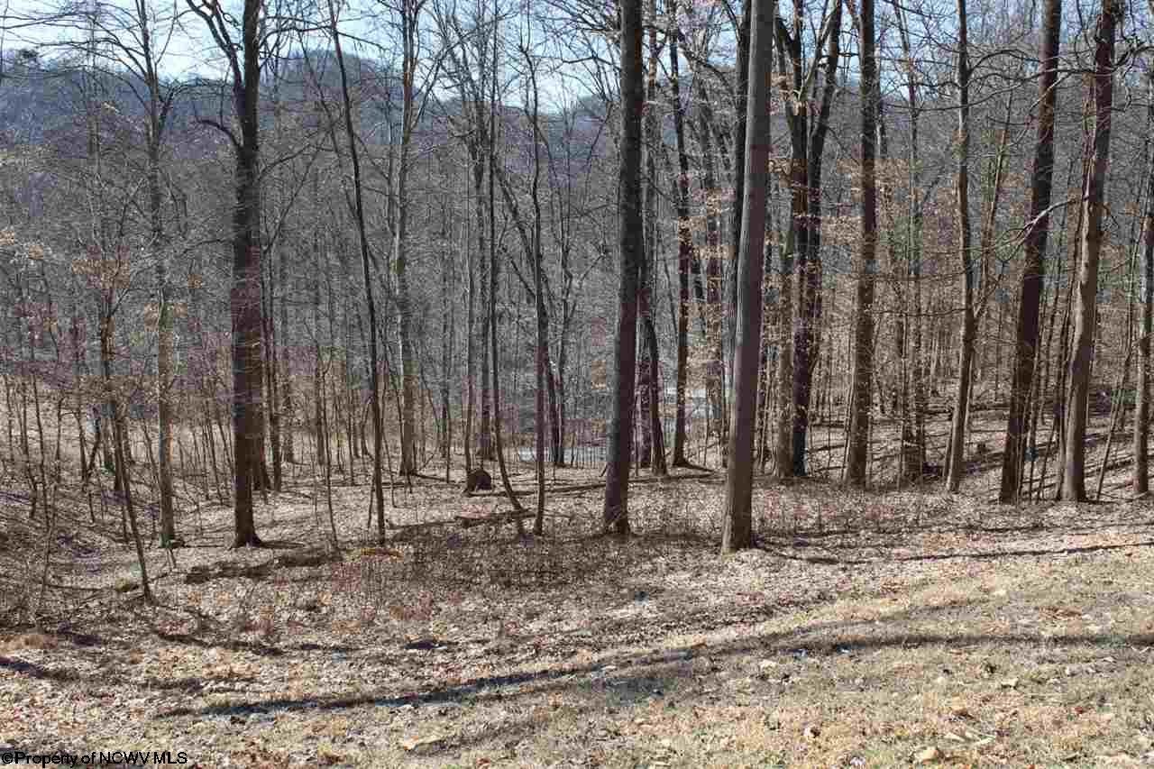 594 Jacobs Road Mount Clare, WV 26408 - Photo 19 of 20 Gallery Image 19