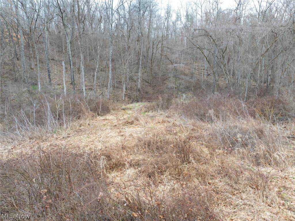 Sarchets Run Road Cambridge, OH 43725 - Photo 9 of 20