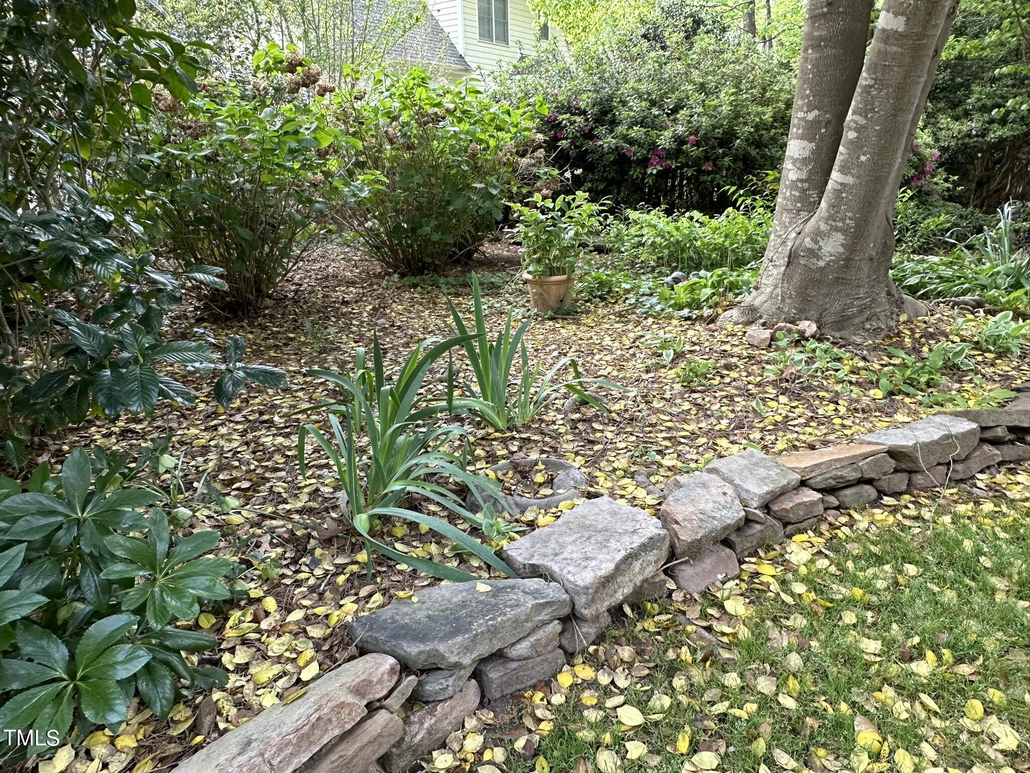 7805 Highlandview Circle Raleigh, NC 27613 - Photo 30 of 33 a view of a garden with plants