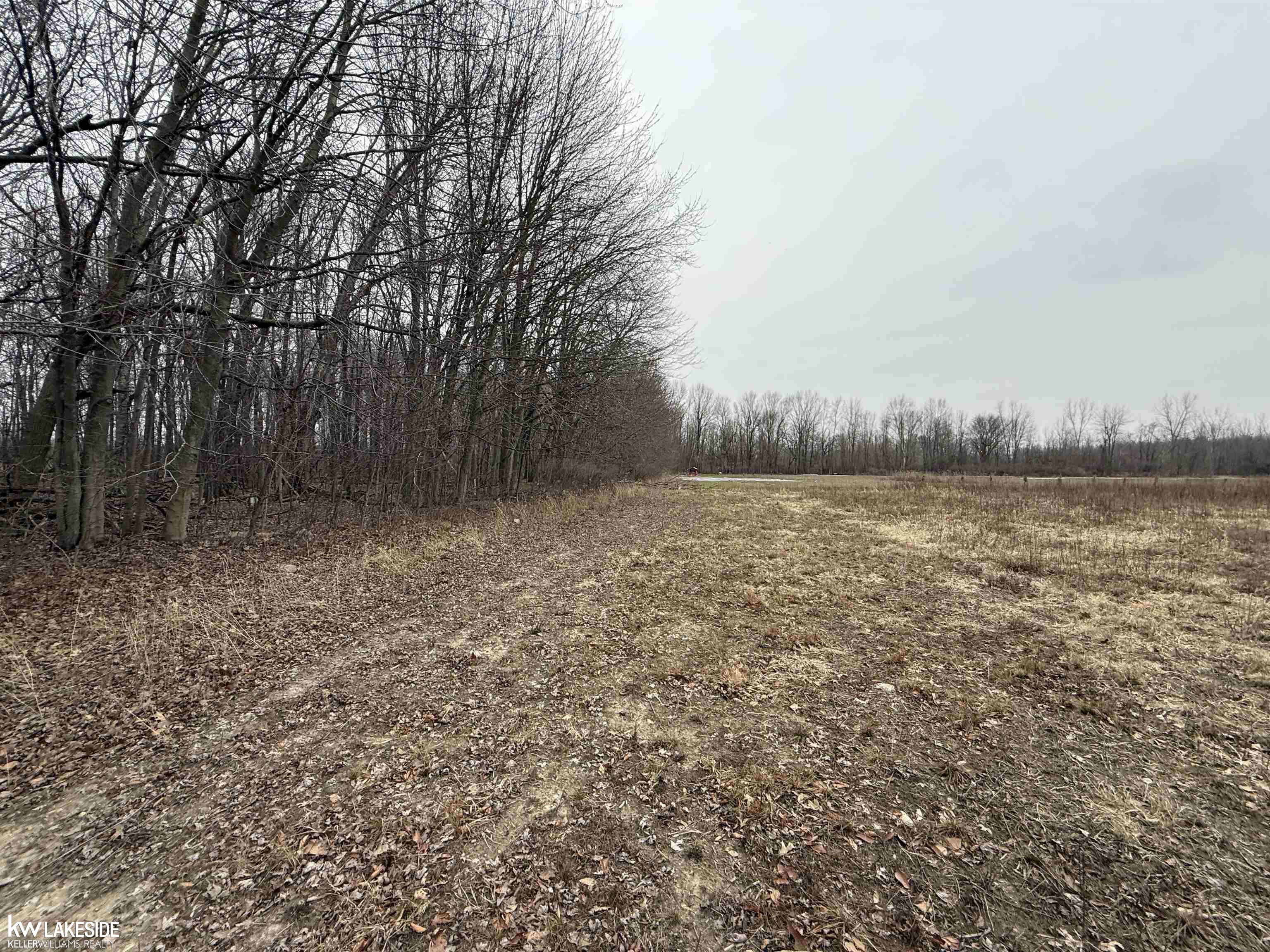 0 Cove Road Goodells, MI 48027 - Photo 11 of 25