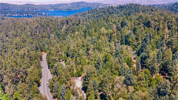 an aerial view of residential houses with outdoor space and trees