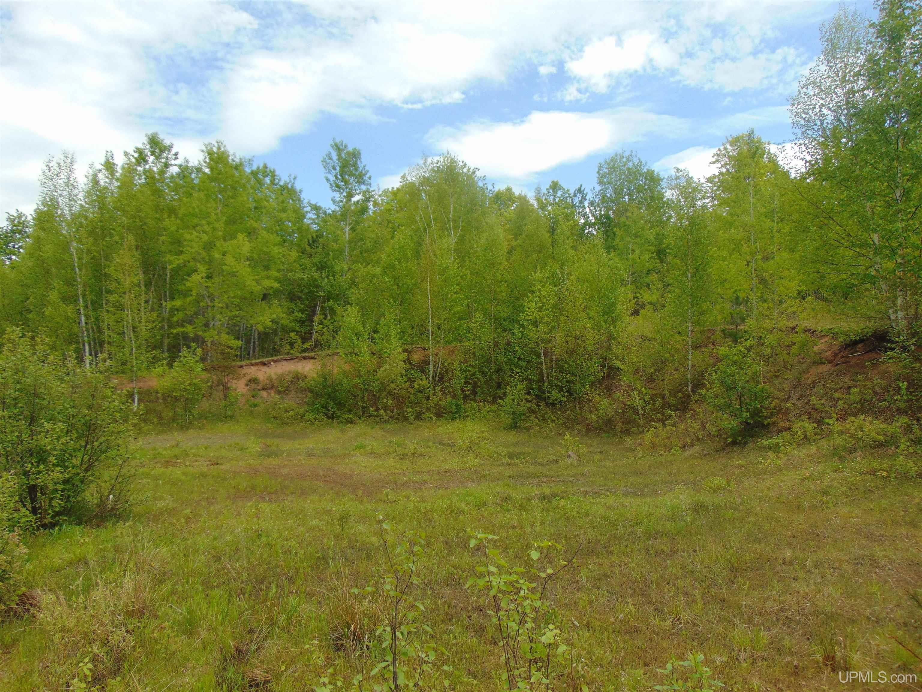 Tbd 1 Off M28 Road Trout Creek, MI 49967 - Photo 19 of 24
