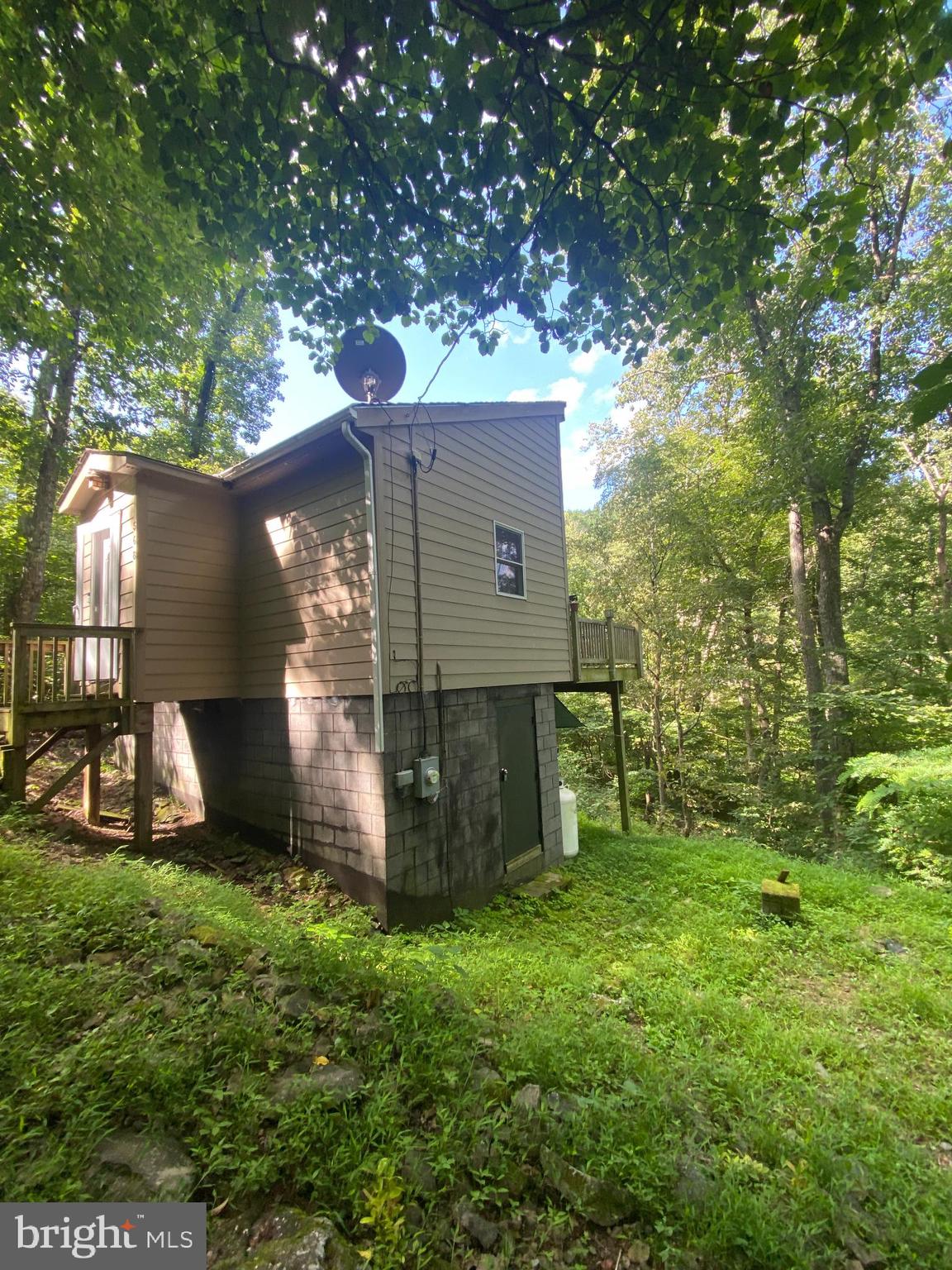 568 Cliff Heights Road Stanley, VA 22851 - Photo 20 of 23 a view of backyard with potted plants and a large tree