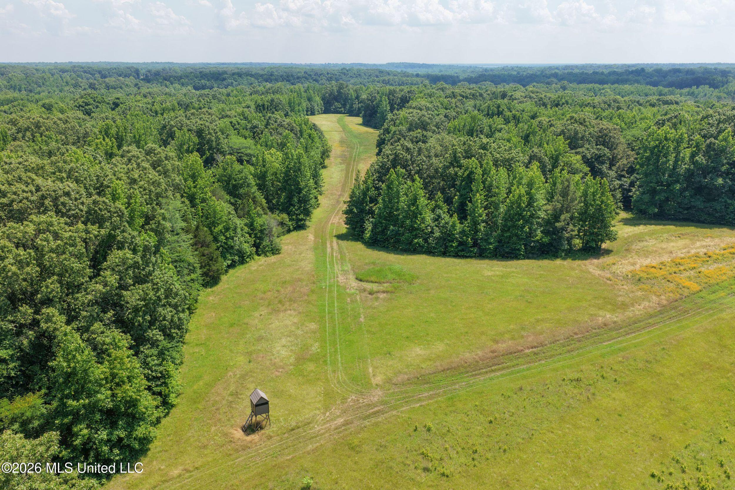 884 Avant Road Crenshaw, MS 38621 - Photo 47 of 154 4dbyicr47
