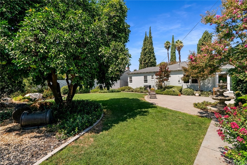 4682 Sunnyside Drive Riverside, CA 92506 - Photo 31 of 35 Alternate view of the park-like yard with fruit trees and Crape Myrtle trees.