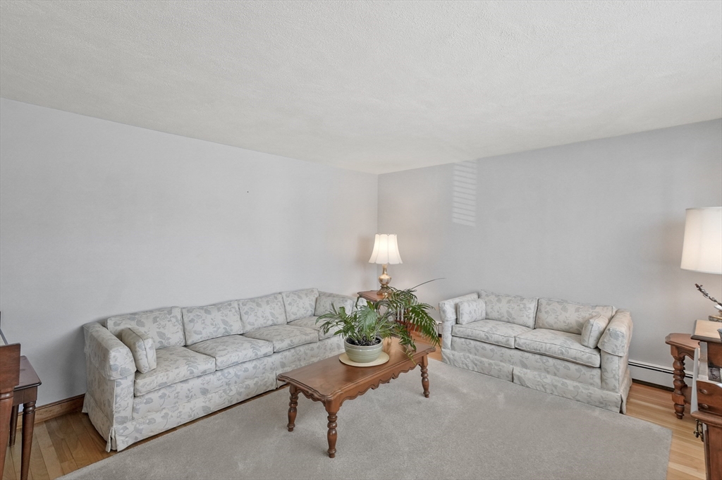 95 Gregory Street Waltham, MA 02451 - Photo 14 of 36 a living room with furniture and a potted plant