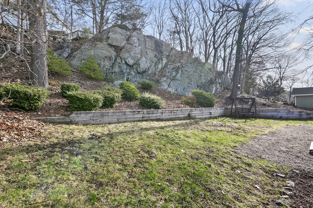 95 Gregory Street Waltham, MA 02451 - Photo 36 of 36 a view of a backyard with plants and large trees