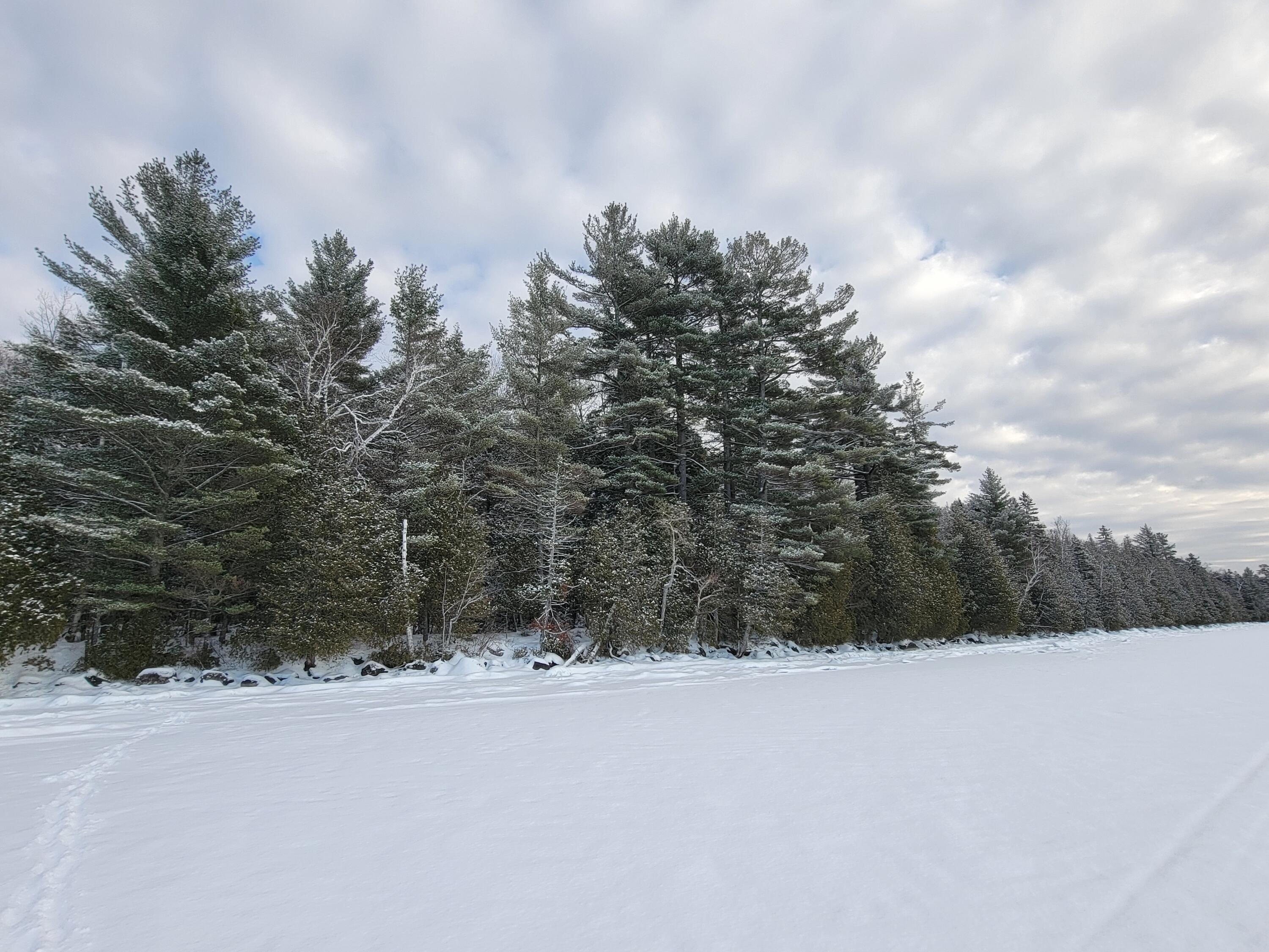 0 Railroadbed Rd Lake View Milo, ME 04463 - Photo 46 of 68 20220125_143705
