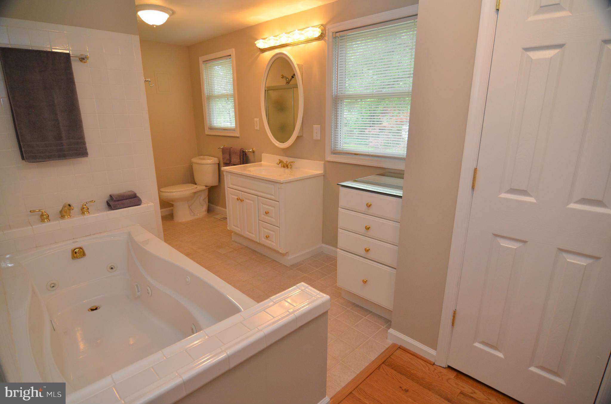 12503 Ivory Pass Laurel, MD 20708 - Photo 24 of 30 Bath (Master)