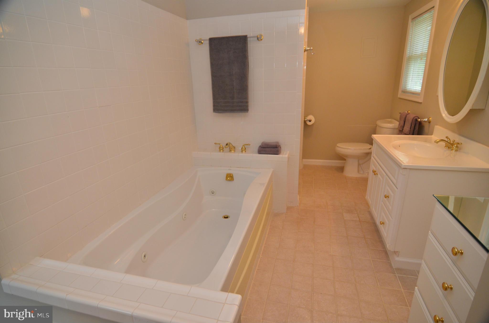 12503 Ivory Pass Laurel, MD 20708 - Photo 25 of 30 Bath (Master)