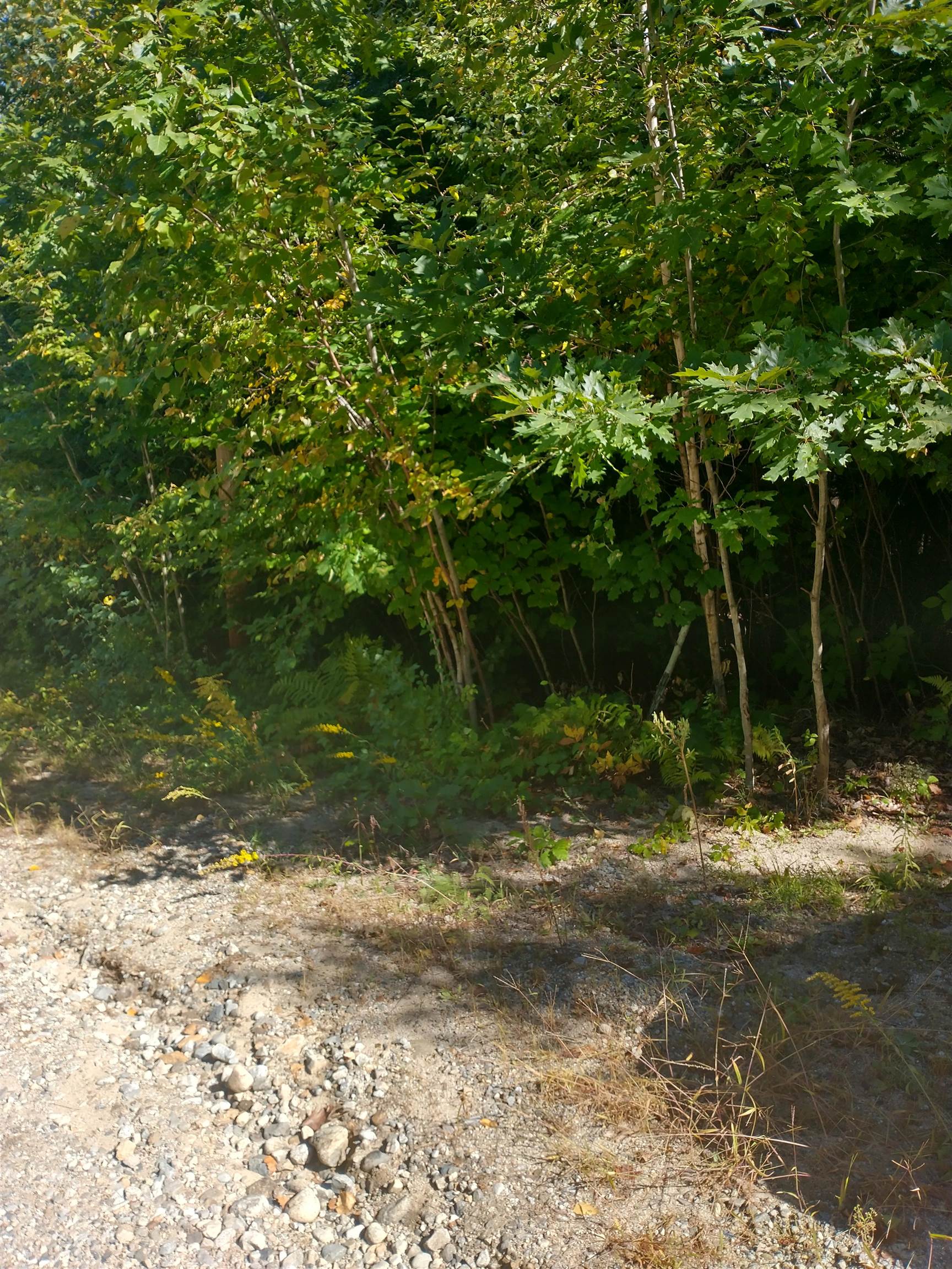 Lot #22 Deer Run Road Middleton, NH 03887 - Photo 1 of 8